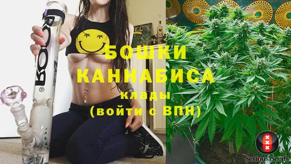 шишки Богданович